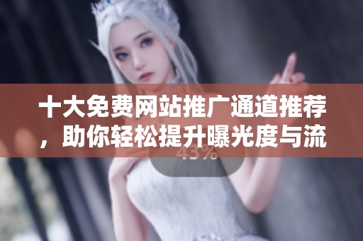 十大免费网站推广通道推荐，助你轻松提升曝光度与流量