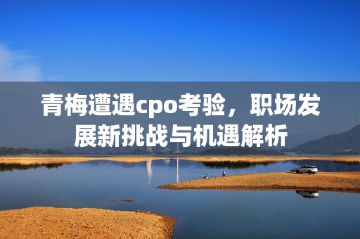 青梅遭遇cpo考验，职场发展新挑战与机遇解析