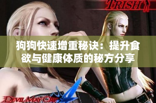 狗狗快速增重秘诀：提升食欲与健康体质的秘方分享