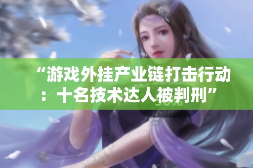 “游戏外挂产业链打击行动：十名技术达人被判刑”