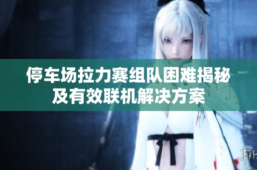 停车场拉力赛组队困难揭秘及有效联机解决方案