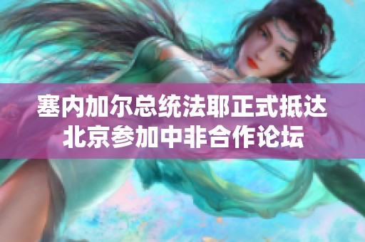 塞内加尔总统法耶正式抵达北京参加中非合作论坛