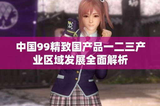 中国99精致国产品一二三产业区域发展全面解析