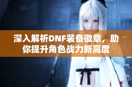 深入解析DNF装备徽章，助你提升角色战力新高度