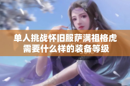 单人挑战怀旧服萨满祖格虎 需要什么样的装备等级