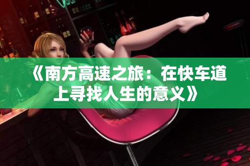 《南方高速之旅：在快车道上寻找人生的意义》