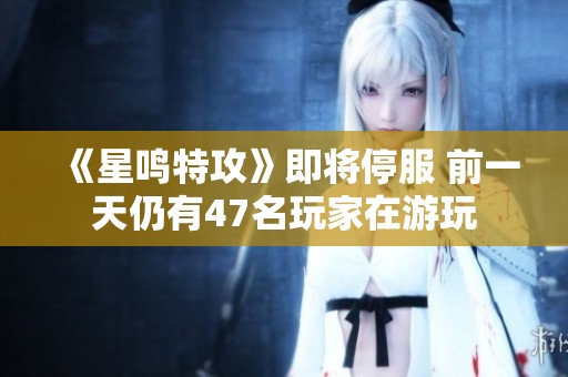 《星鸣特攻》即将停服 前一天仍有47名玩家在游玩