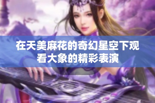 在天美麻花的奇幻星空下观看大象的精彩表演