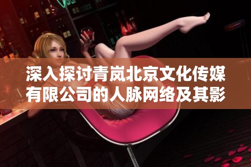 深入探讨青岚北京文化传媒有限公司的人脉网络及其影响力