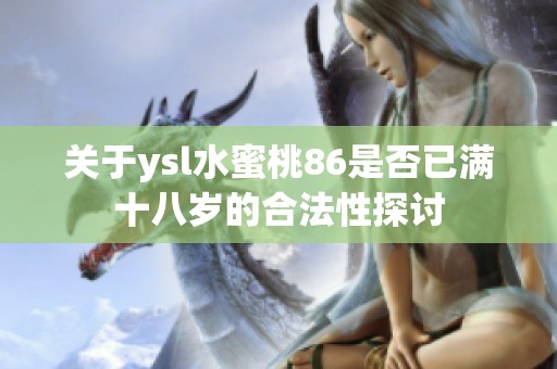 关于ysl水蜜桃86是否已满十八岁的合法性探讨