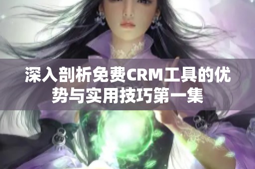 深入剖析免费CRM工具的优势与实用技巧第一集