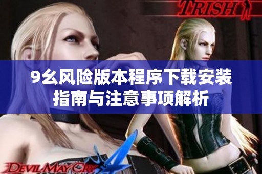 9幺风险版本程序下载安装指南与注意事项解析
