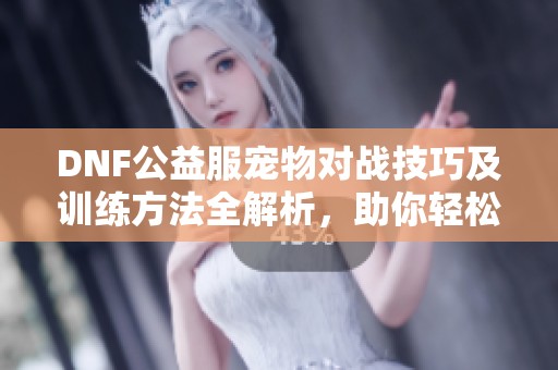 DNF公益服宠物对战技巧及训练方法全解析，助你轻松制胜!