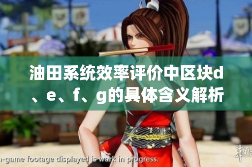 油田系统效率评价中区块d、e、f、g的具体含义解析
