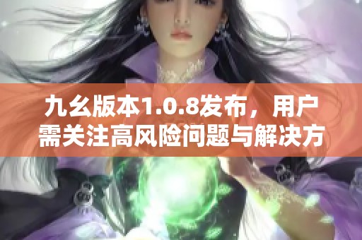 九幺版本1.0.8发布，用户需关注高风险问题与解决方案