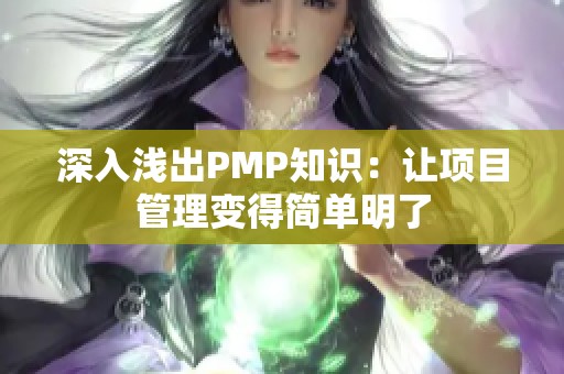 深入浅出PMP知识：让项目管理变得简单明了