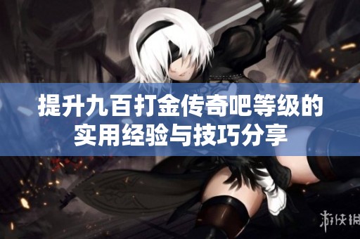 提升九百打金传奇吧等级的实用经验与技巧分享