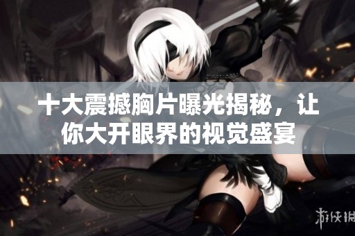 十大震撼胸片曝光揭秘，让你大开眼界的视觉盛宴