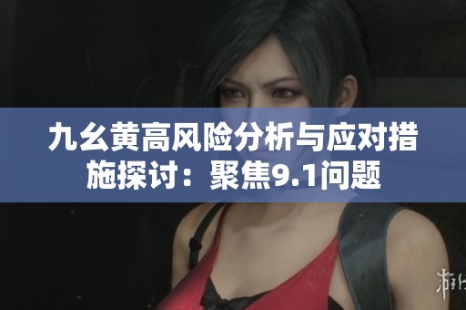 九幺黄高风险分析与应对措施探讨：聚焦9.1问题