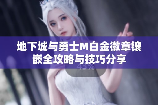 地下城与勇士M白金徽章镶嵌全攻略与技巧分享