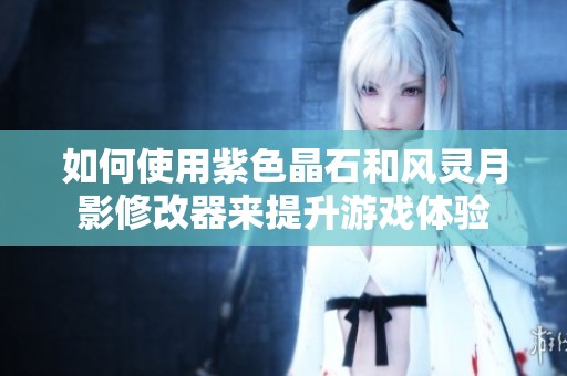 如何使用紫色晶石和风灵月影修改器来提升游戏体验