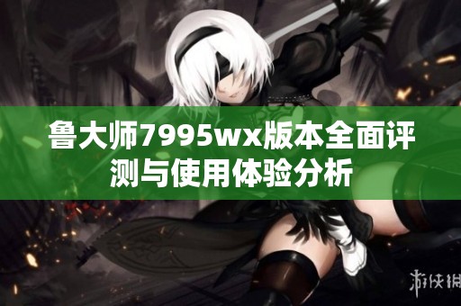 鲁大师7995wx版本全面评测与使用体验分析