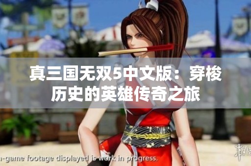 真三国无双5中文版：穿梭历史的英雄传奇之旅
