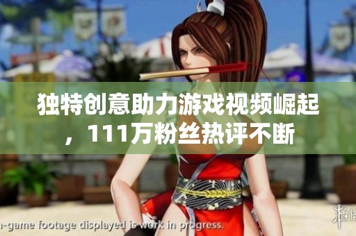 独特创意助力游戏视频崛起，111万粉丝热评不断