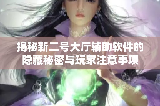 揭秘新二号大厅辅助软件的隐藏秘密与玩家注意事项