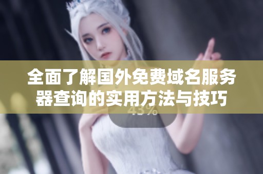 全面了解国外免费域名服务器查询的实用方法与技巧