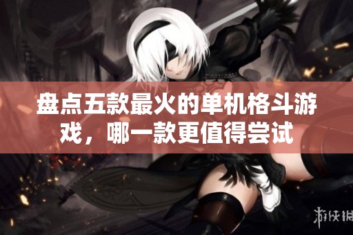 盘点五款最火的单机格斗游戏，哪一款更值得尝试