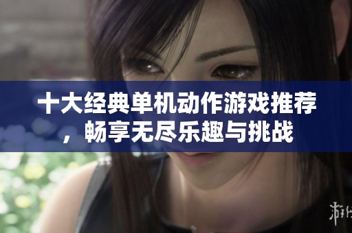十大经典单机动作游戏推荐，畅享无尽乐趣与挑战