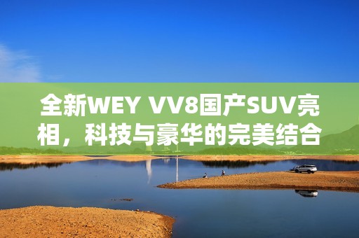 全新WEY VV8国产SUV亮相，科技与豪华的完美结合