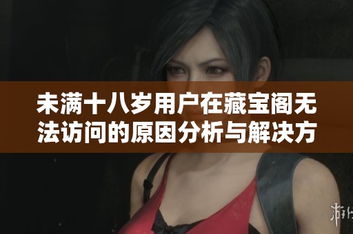未满十八岁用户在藏宝阁无法访问的原因分析与解决方案