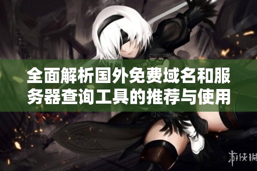 全面解析国外免费域名和服务器查询工具的推荐与使用