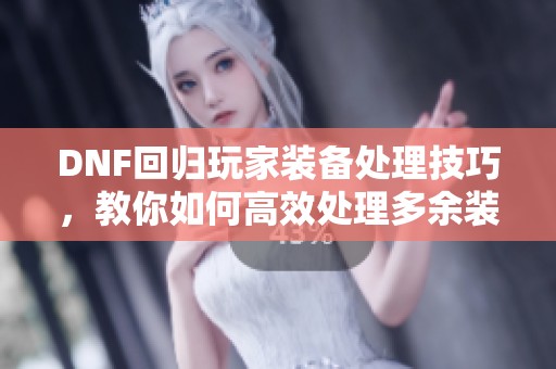 DNF回归玩家装备处理技巧，教你如何高效处理多余装备