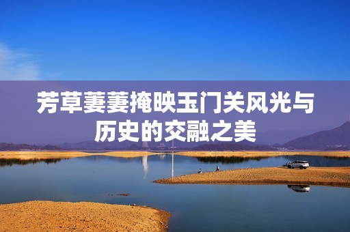 芳草萋萋掩映玉门关风光与历史的交融之美