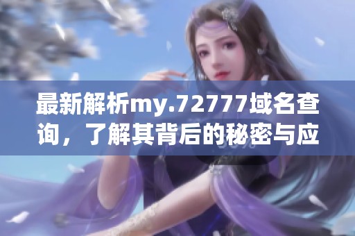 最新解析my.72777域名查询，了解其背后的秘密与应用