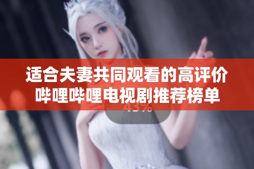适合夫妻共同观看的高评价哔哩哔哩电视剧推荐榜单