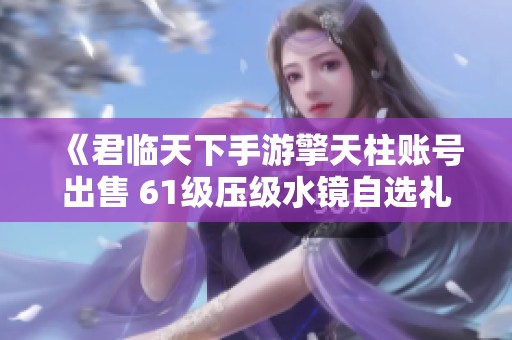 《君临天下手游擎天柱账号出售 61级压级水镜自选礼包》