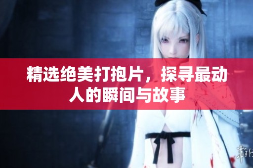 精选绝美打抱片，探寻最动人的瞬间与故事
