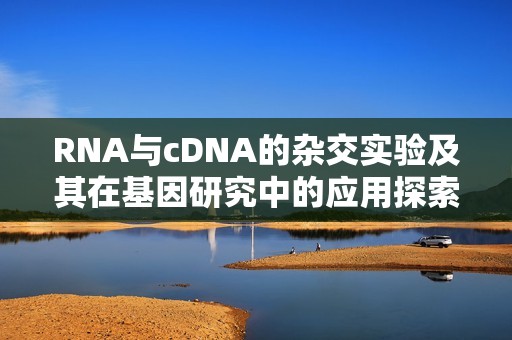 RNA与cDNA的杂交实验及其在基因研究中的应用探索