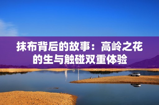 抹布背后的故事：高岭之花的生与触碰双重体验