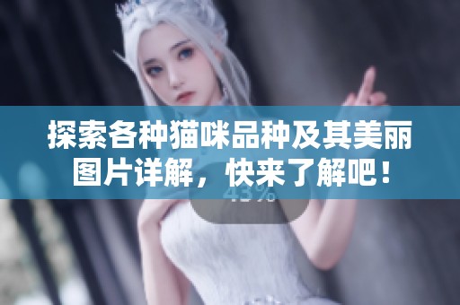 探索各种猫咪品种及其美丽图片详解，快来了解吧！