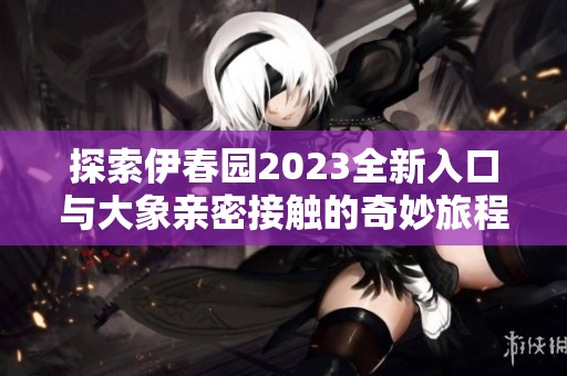 探索伊春园2023全新入口与大象亲密接触的奇妙旅程