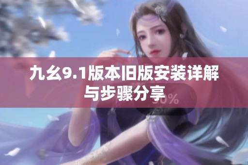 九幺9.1版本旧版安装详解与步骤分享