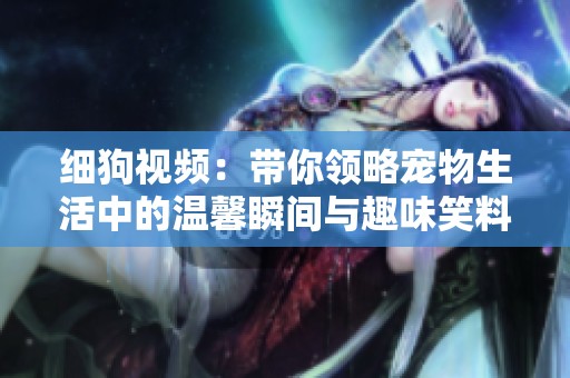 细狗视频：带你领略宠物生活中的温馨瞬间与趣味笑料