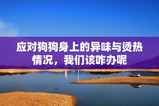 应对狗狗身上的异味与烫热情况，我们该咋办呢