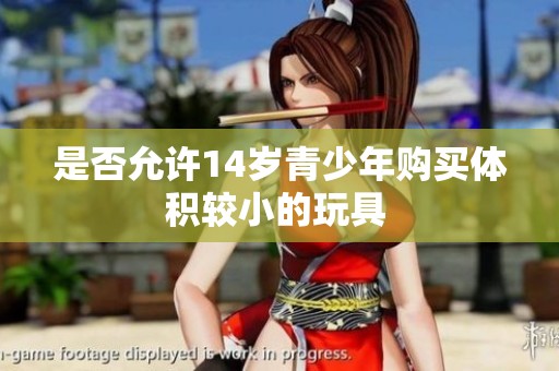 是否允许14岁青少年购买体积较小的玩具 