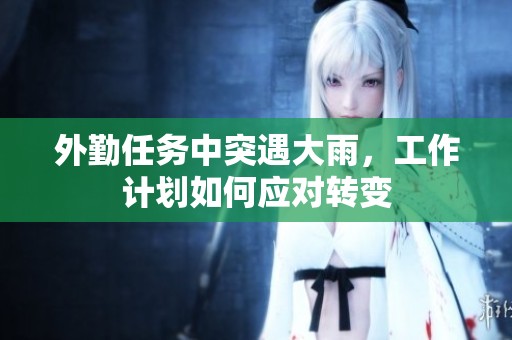 外勤任务中突遇大雨，工作计划如何应对转变